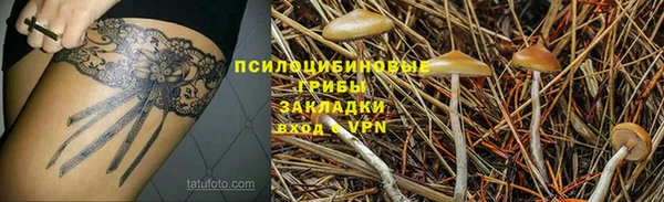 метадон Алексин