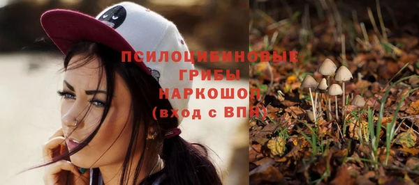 ешки Алексеевка