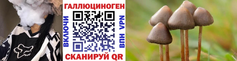 где купить наркоту  дарк нет наркотические препараты  Псилоцибиновые грибы Psilocybe  Лермонтов 